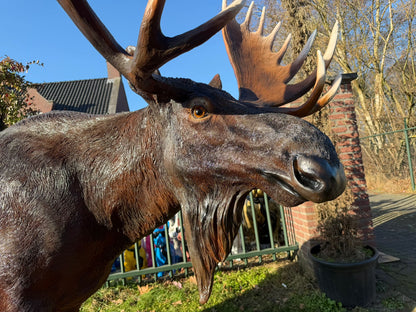 Hert - Herten - Eland - Levensgroot - imposant - 300cm lang