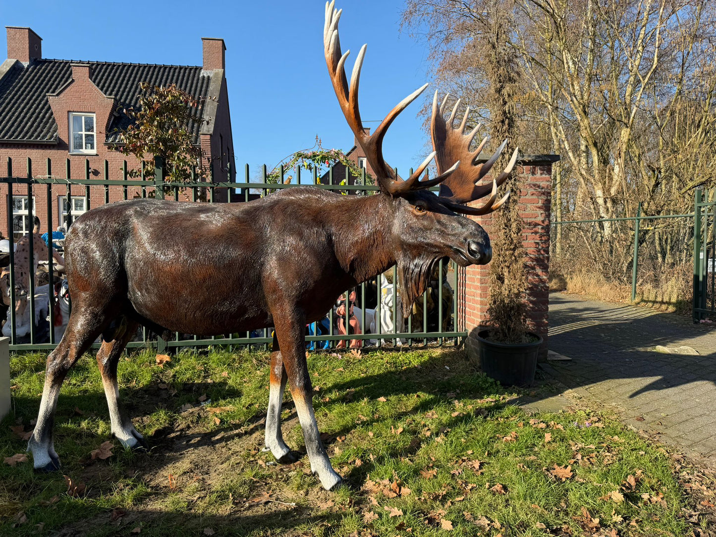 Hert - Herten - Eland - Levensgroot - imposant - 300cm lang