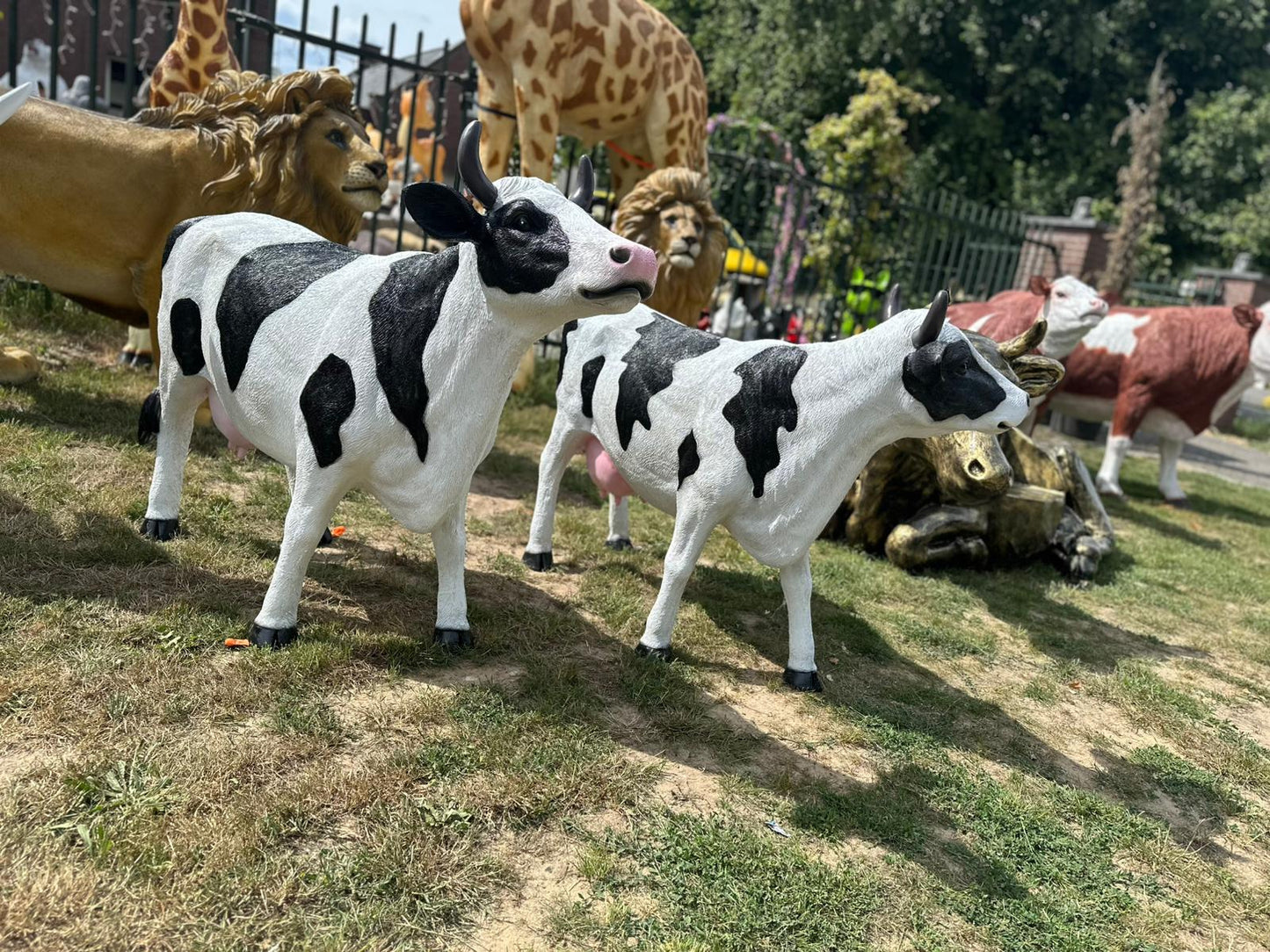 Koe met  hoorns in verschillende modellen (110cm hoog)