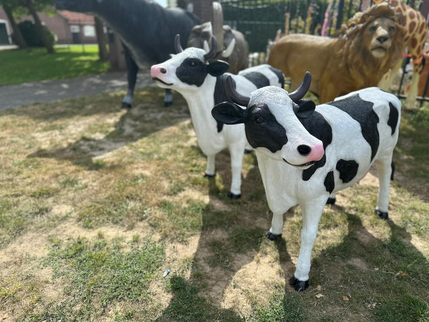 Koe met  hoorns in verschillende modellen (110cm hoog)