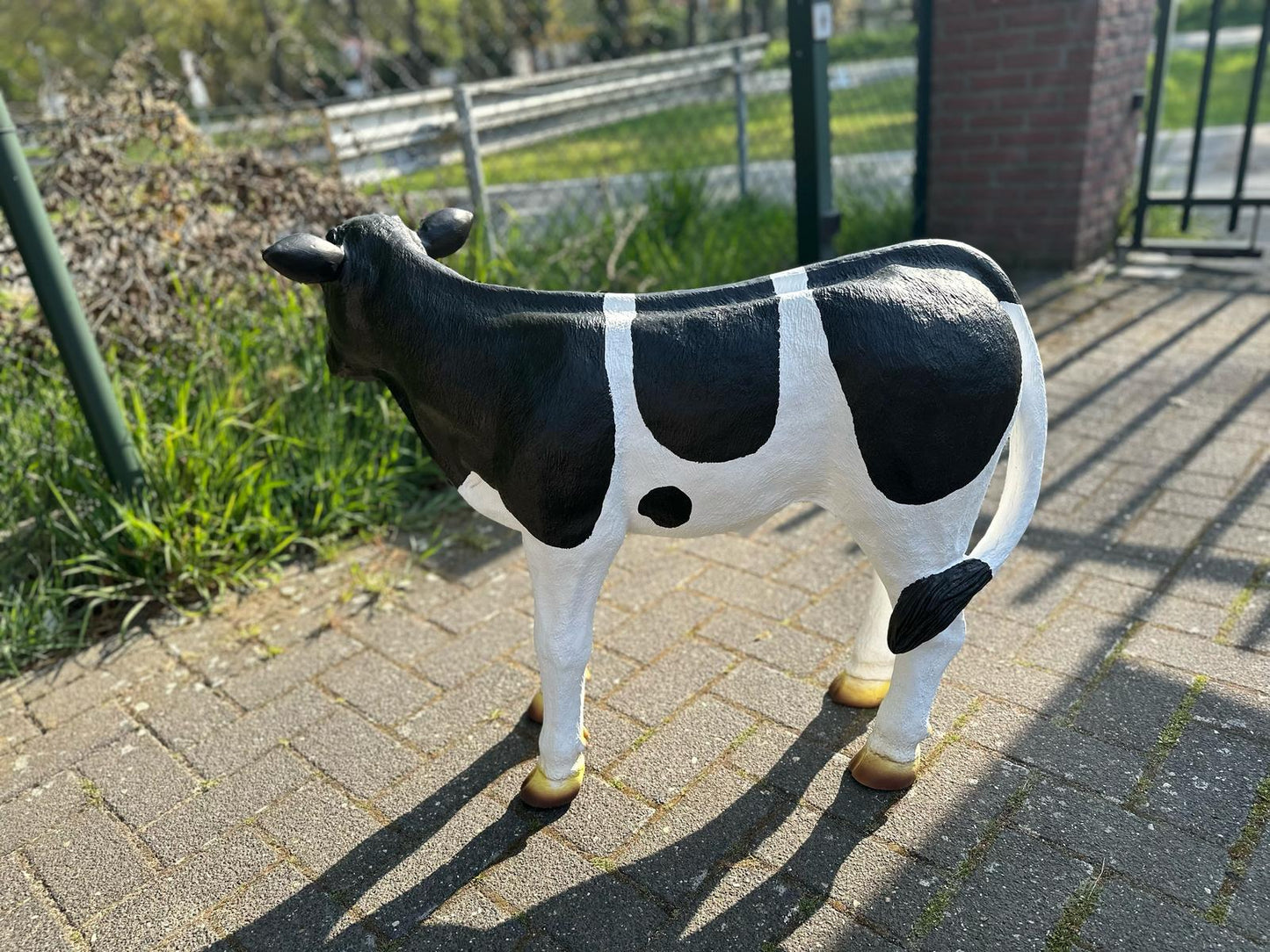Kalfje met of zonder hoorns (70cm hoog)