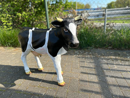 Kalfje met of zonder hoorns (70cm hoog)