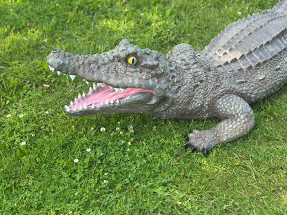 Krokodillen - grote Krokodil - 180cm - Orginele kleur