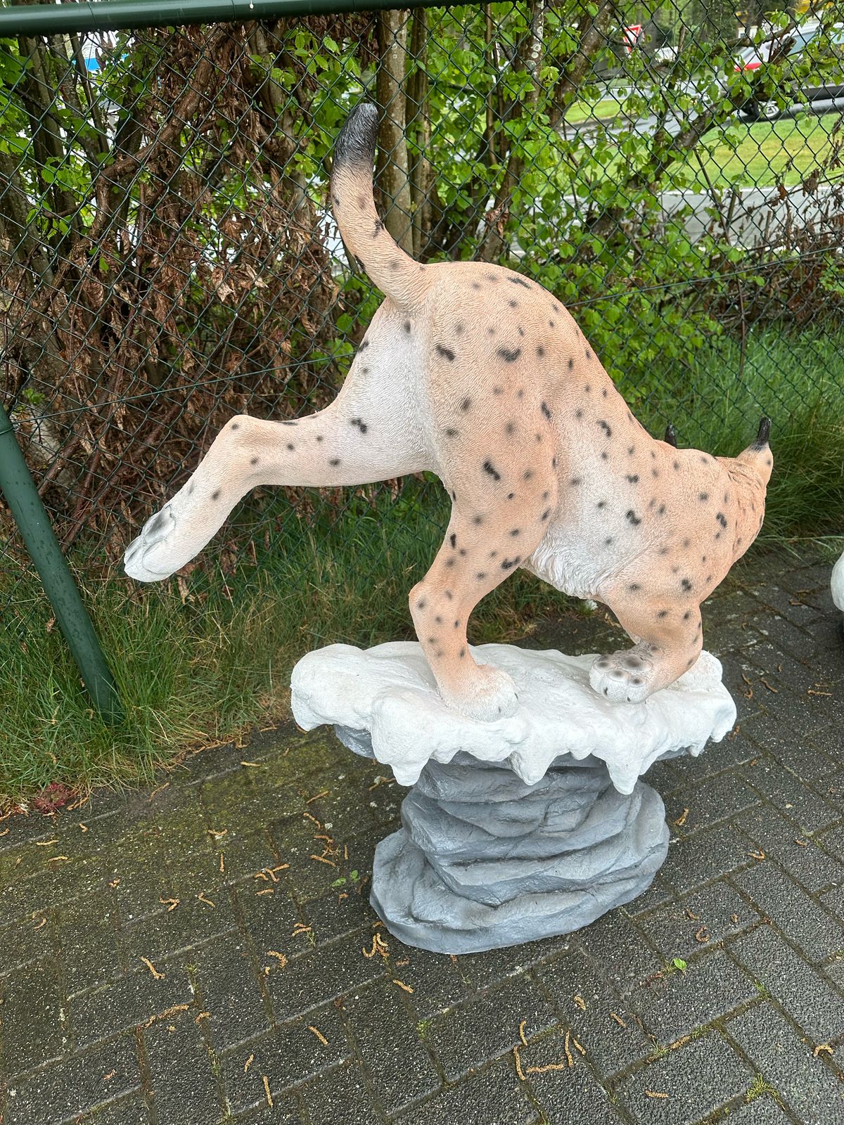Lynx op rots (150cm lang)