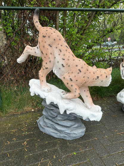 Lynx op rots (150cm lang)
