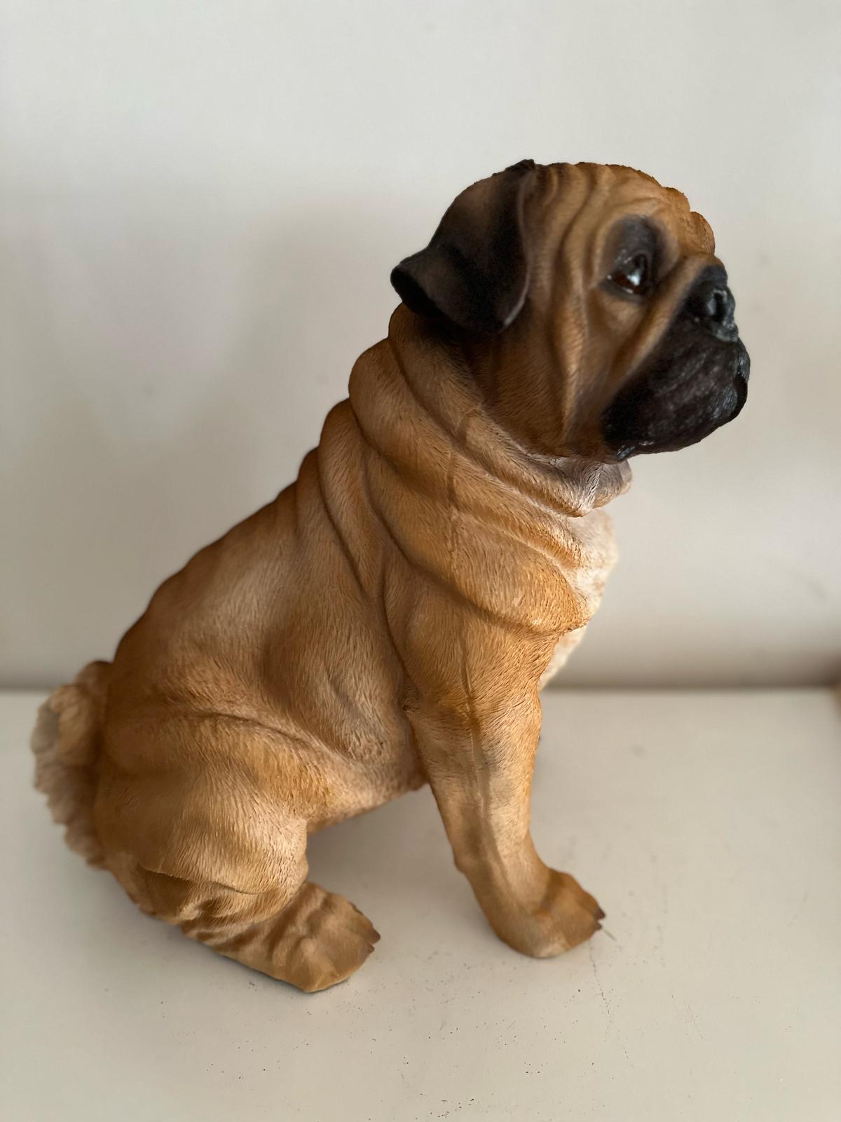 Mopshond - Mops - zittend of staand - zeer mooi - Bruin