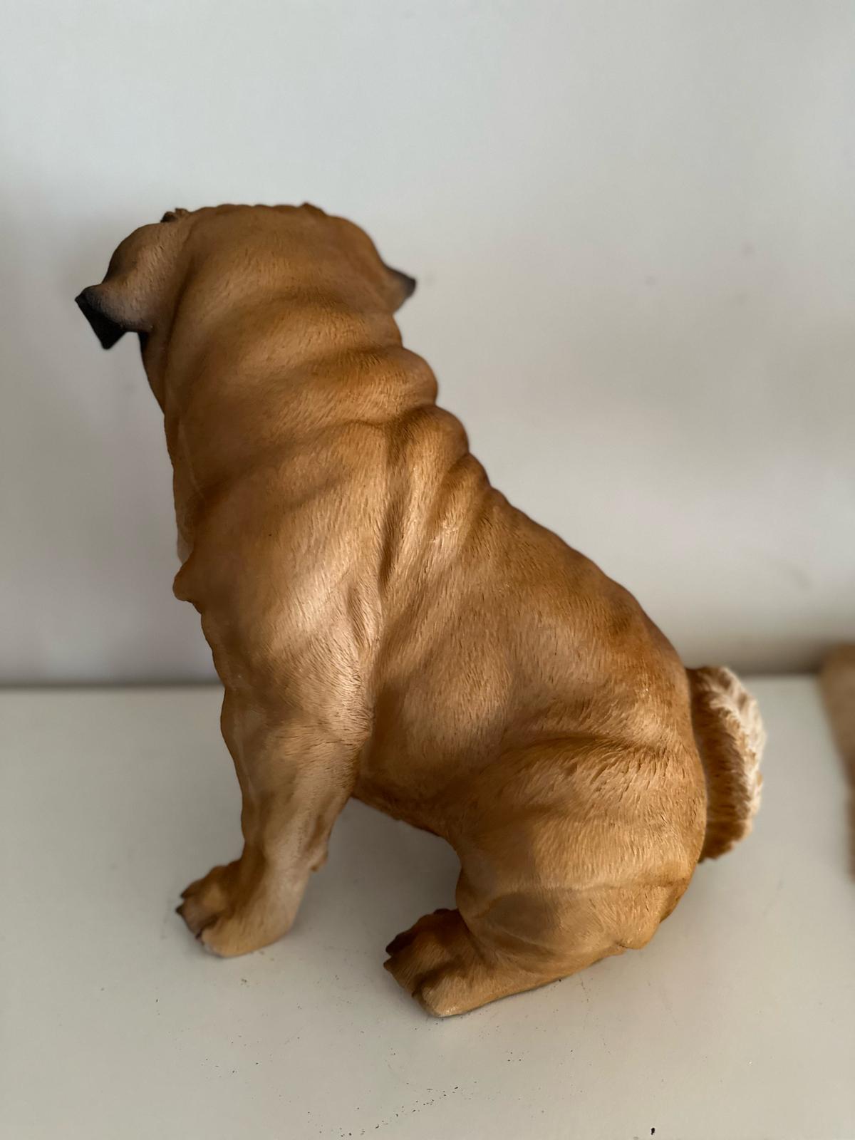 Mopshond - Mops - zittend of staand - zeer mooi - Bruin