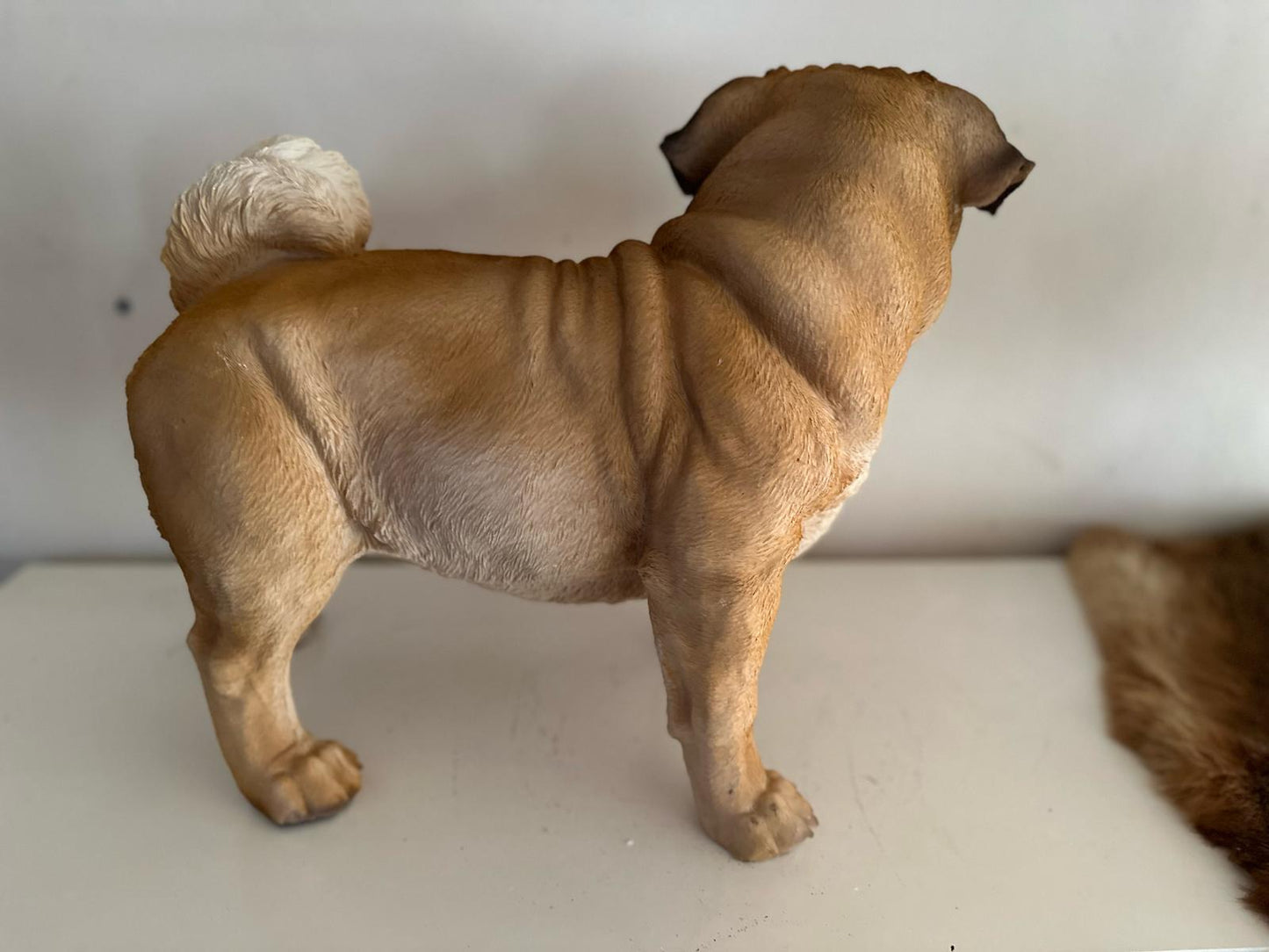 Mopshond - Mops - zittend of staand - zeer mooi - Bruin
