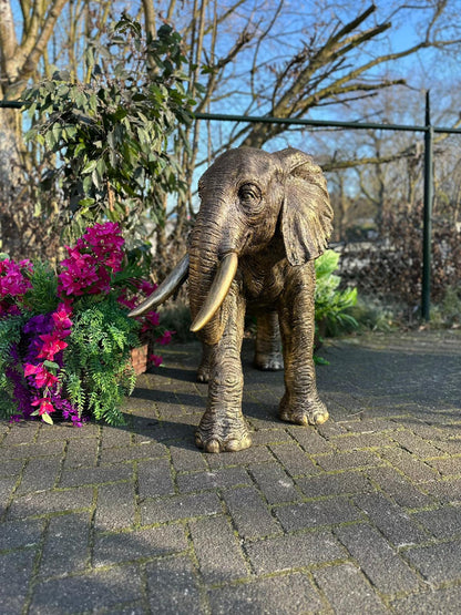 Olifant - Olifant Brons - 160cm lang - Kleur Brons.