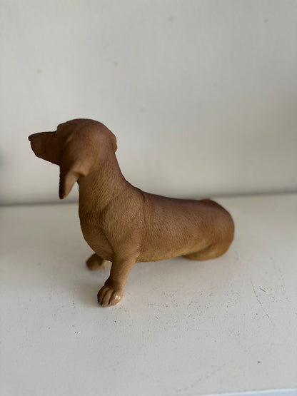 Teckel - Teckels - Zittend - Zwart of bruin - Super leuk
