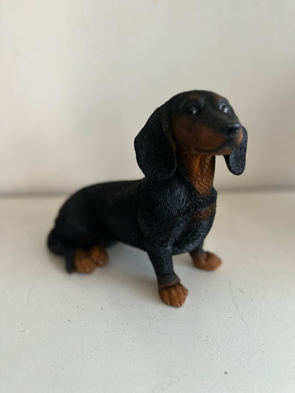 Teckel - Teckels - Zittend - Zwart of bruin - Super leuk